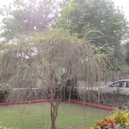 Aayesh Bed & Breakfast Shānti Niketan 외부 사진