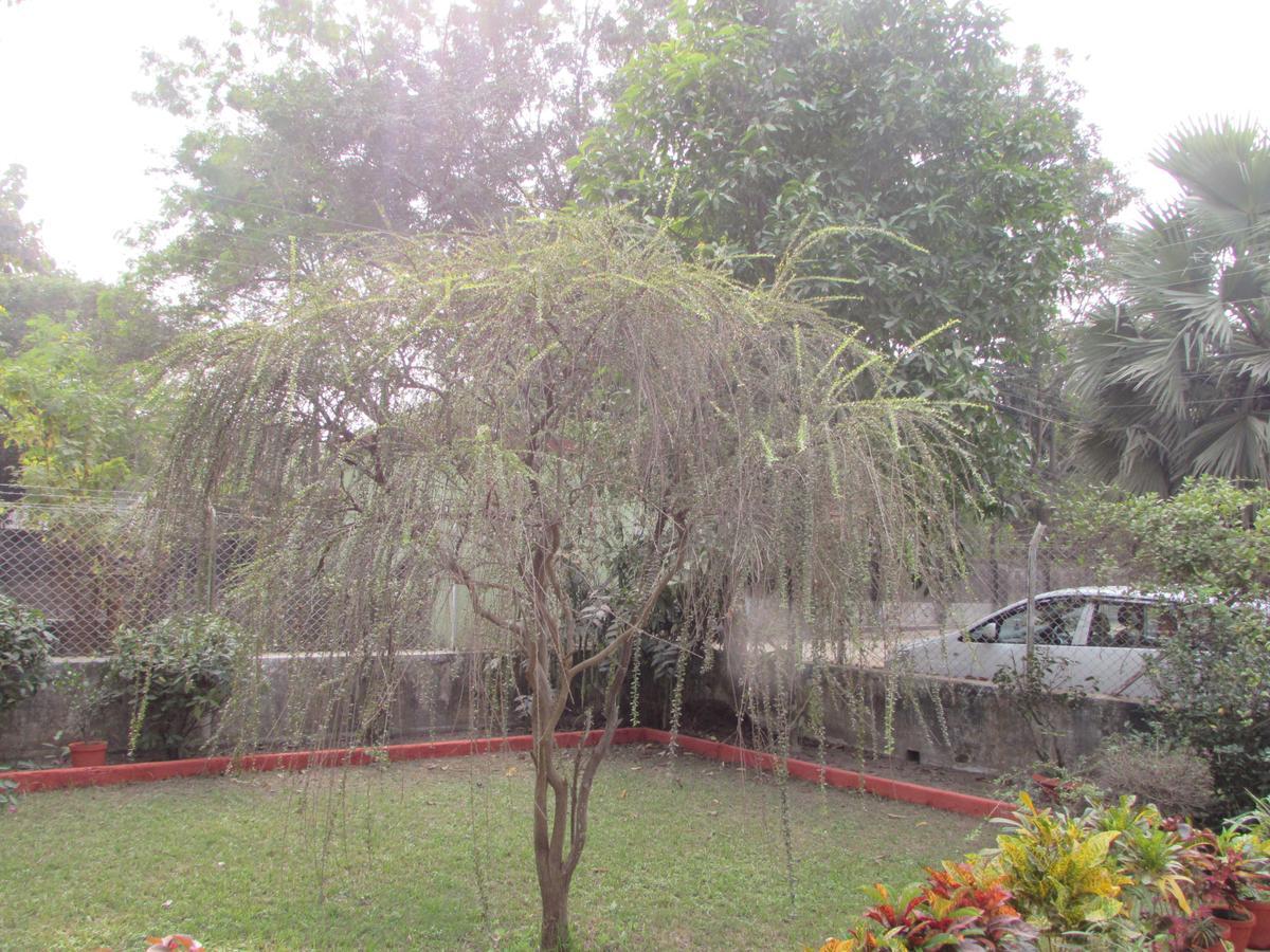 Aayesh Bed & Breakfast Shānti Niketan 외부 사진